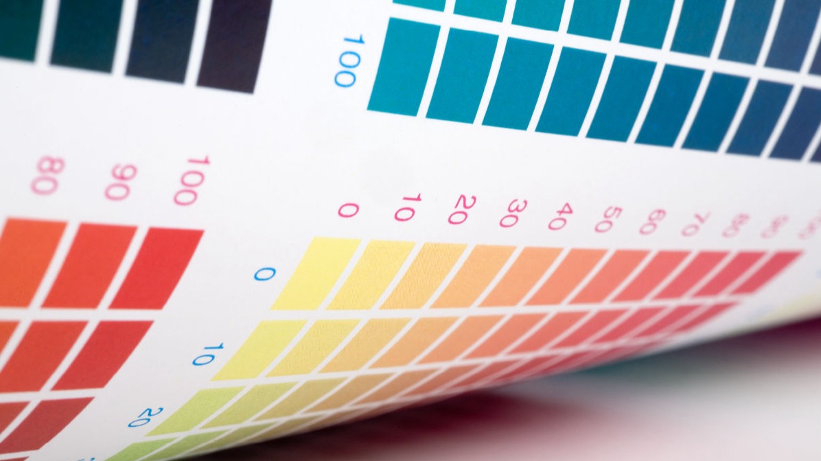 Diplomatura profesional de color