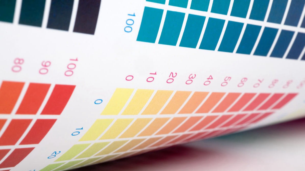 Diplomatura profesional de color