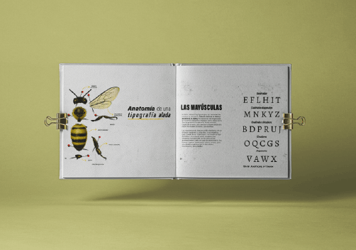 Curso de Diseño Gráfico: Herramientas Visuales para comunicar con impacto