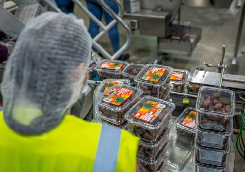 Principios de Inocuidad Alimentaria (BPM)